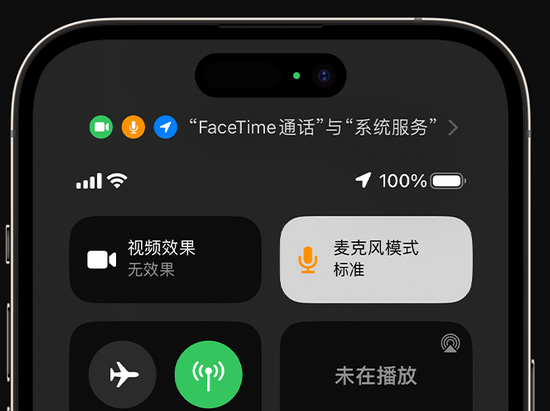 源城苹果授权维修网点分享iPhone在通话时让你的声音更清晰 