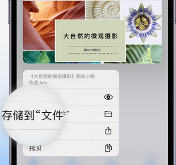 源城apple维修中心分享iPhone文件应用中存储和找到下载文件