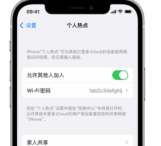 源城apple服务站点分享iPhone上个人热点丢失了怎么办 