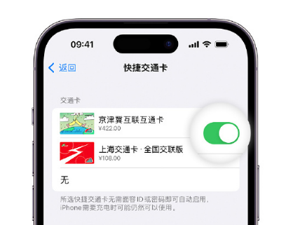 源城apple维修点分享iPhone上更换Apple Pay快捷交通卡手绘卡面 