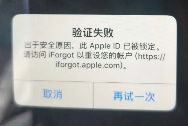 源城iPhone维修分享iPhone上正常登录或使用AppleID怎么办 