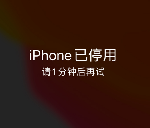 源城苹果手机维修分享:iPhone 显示“不可用”或“已停用”怎么办？还能保留数据吗？ 