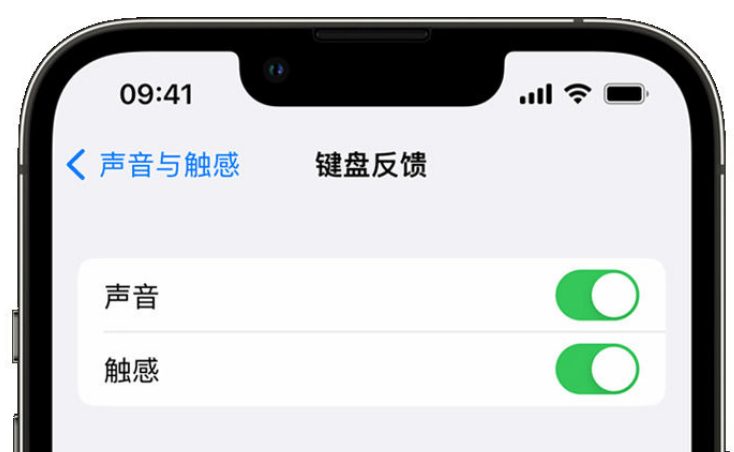 源城苹果手机维修分享iPhone 14触感键盘使用方法 