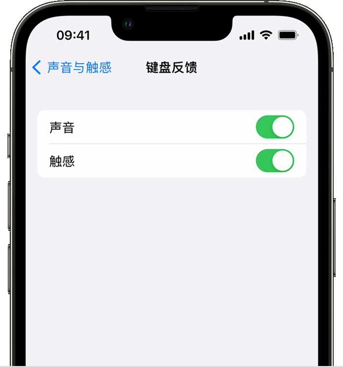 源城苹果14维修店分享如何在 iPhone 14 机型中使用触感键盘 