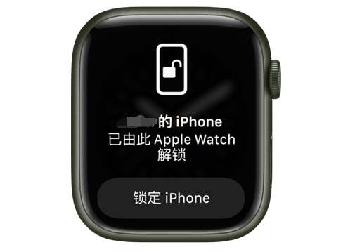 源城苹果手机维修分享用 AppleWatch 解锁配备面容 ID 的 iPhone方法 