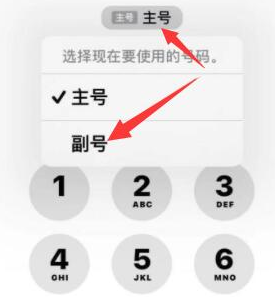 源城苹果14维修店分享iPhone 14 Pro Max使用副卡打电话的方法 