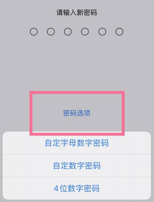 源城苹果14维修分享iPhone 14plus设置密码的方法 