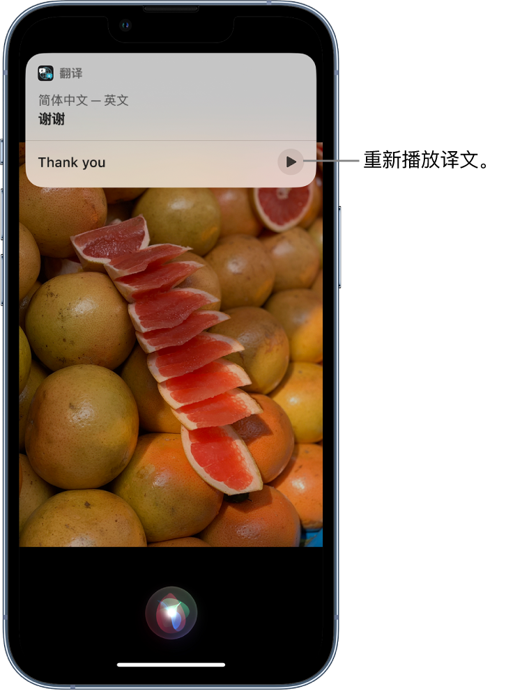 源城苹果14维修分享 iPhone 14 机型中使用 Siri：了解 Siri 能帮你做什么 