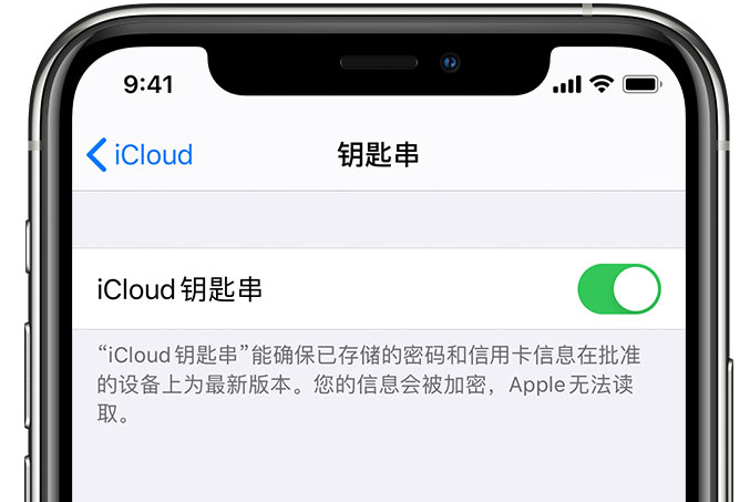 源城苹果手机维修分享在 iPhone 上开启 iCloud 钥匙串之后会储存哪些信息 