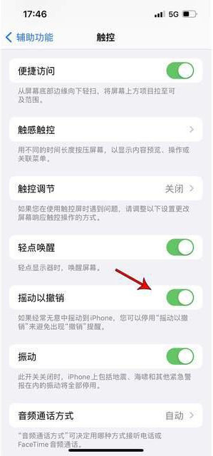 源城苹果手机维修分享iPhone手机如何设置摇一摇删除文字 